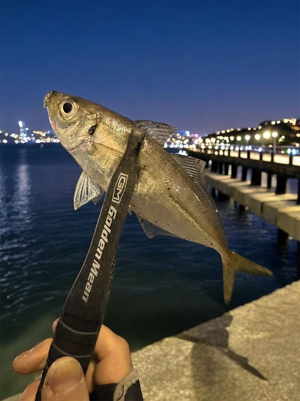 AbuGarcia ソルティーステージ プロトタイプ アジング XAJS-5102LSSの