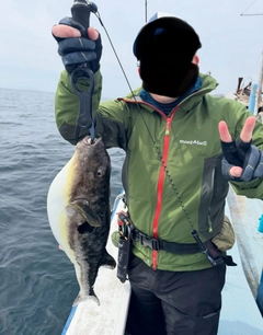 マフグの釣果