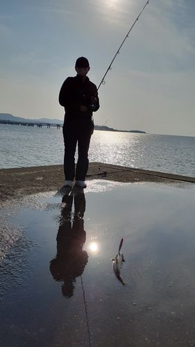 エソの釣果