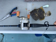 カワハギの釣果