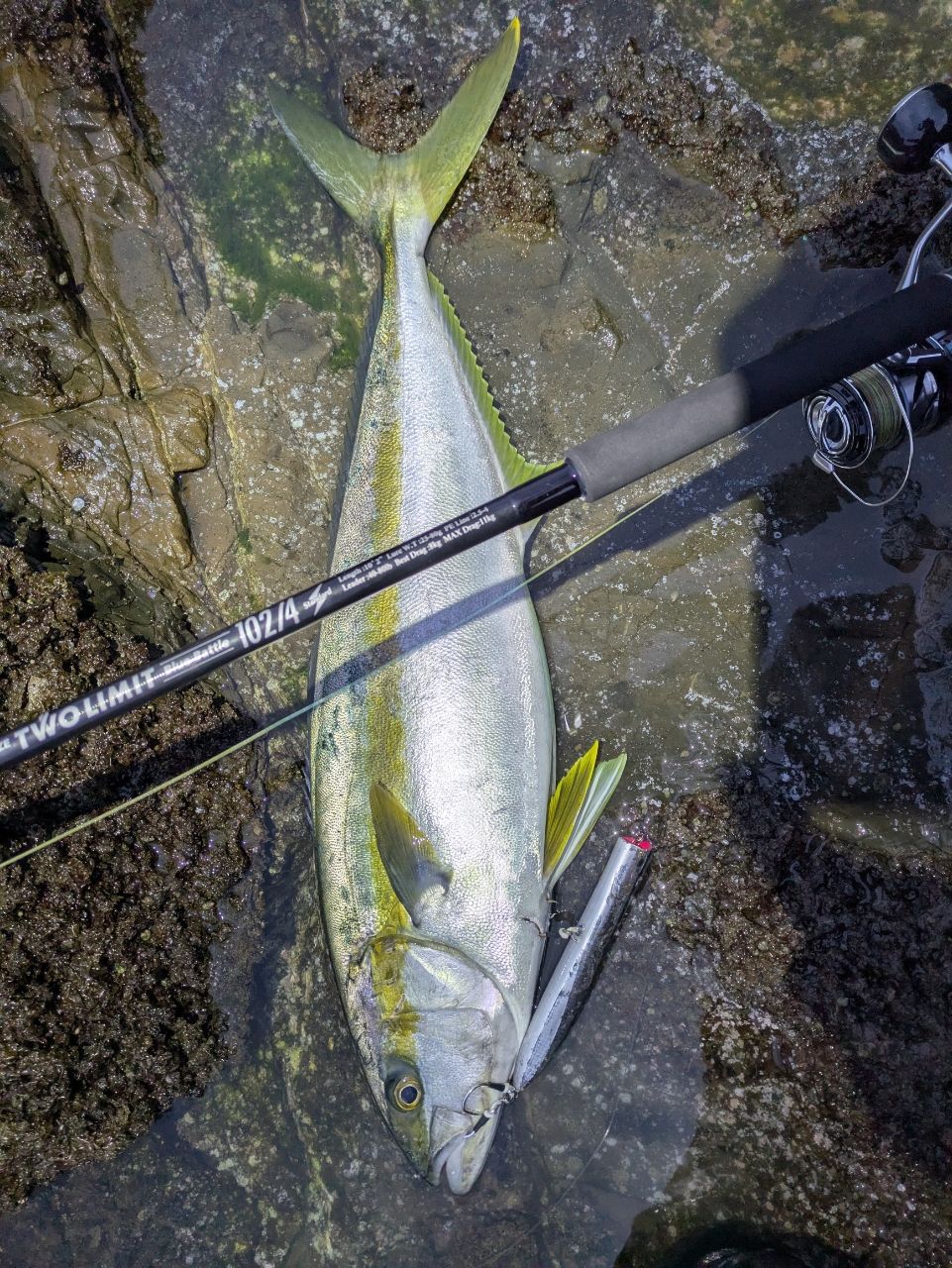 SHIMANO オシア 8 PE 5.0号/SW ネイビー/300mの最安値・インプレ・釣果