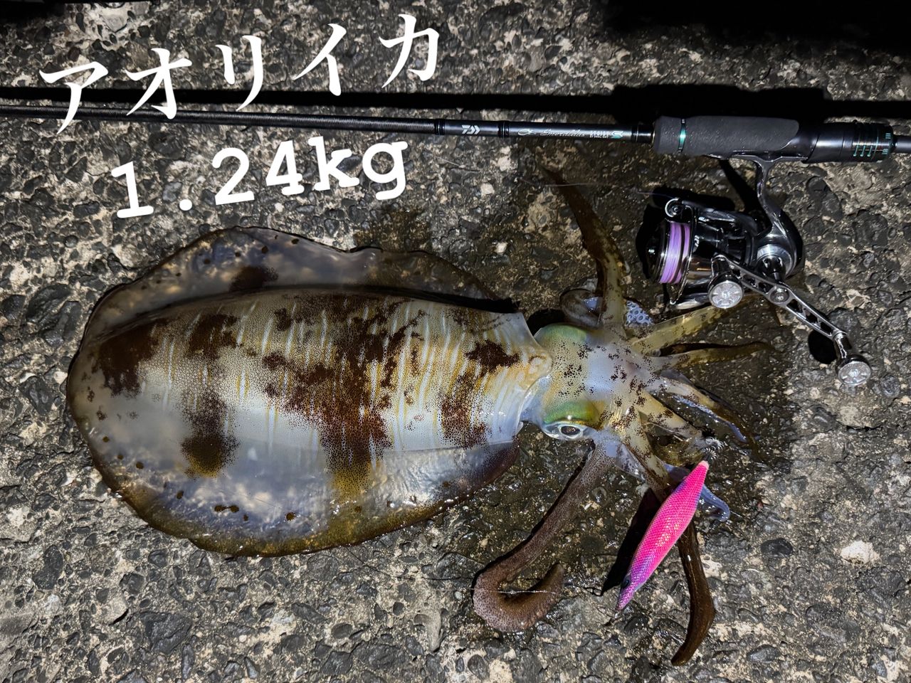 DAIWA 23エメラルダス ストイスト ST（アウトガイドモデル） 88ML-SMT
