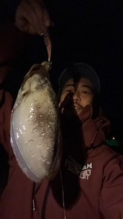 モンゴイカの釣果