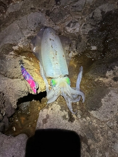 釣果