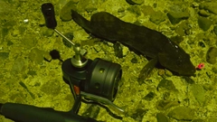 アブラコの釣果