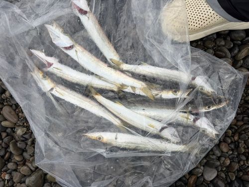 釣果