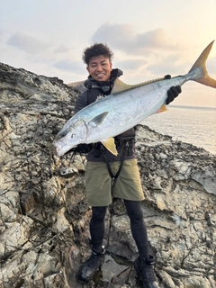 ヒラマサの釣果