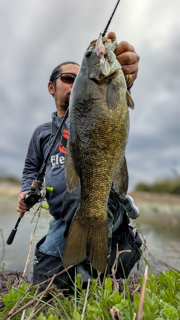 SHIMANO 17エクスプライド 168MH-2の最安値・インプレ・釣果 | 本音の