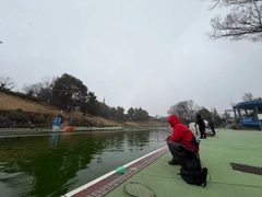 ニジマスの釣果