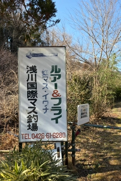 ニジマスの釣果