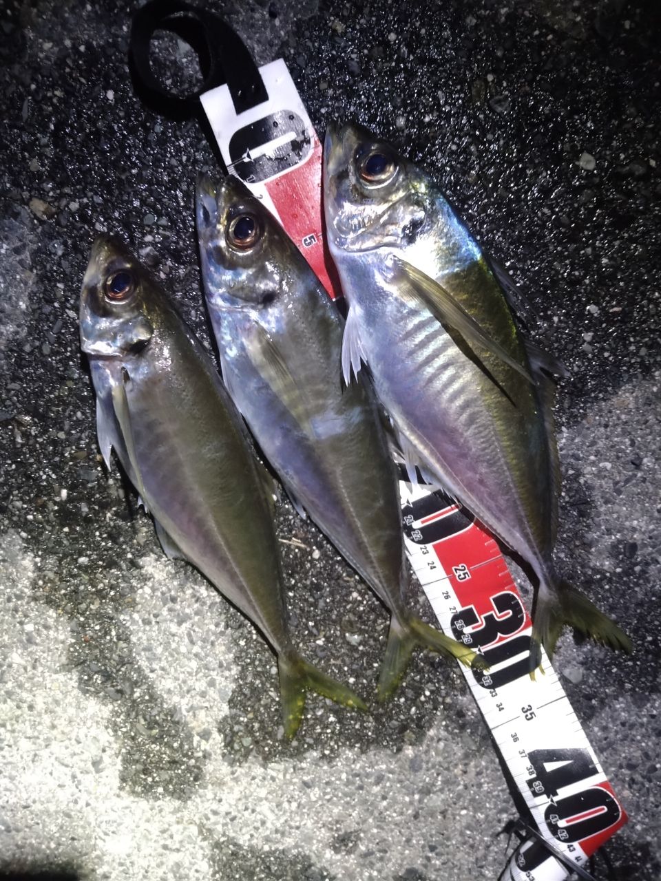 SHIMANO 22ソアレ SS S86ML-Tの最安値・インプレ・釣果 | 本音の口コミ