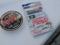 サッパの釣果