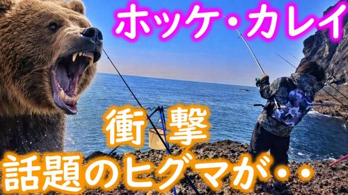ホッケの釣果