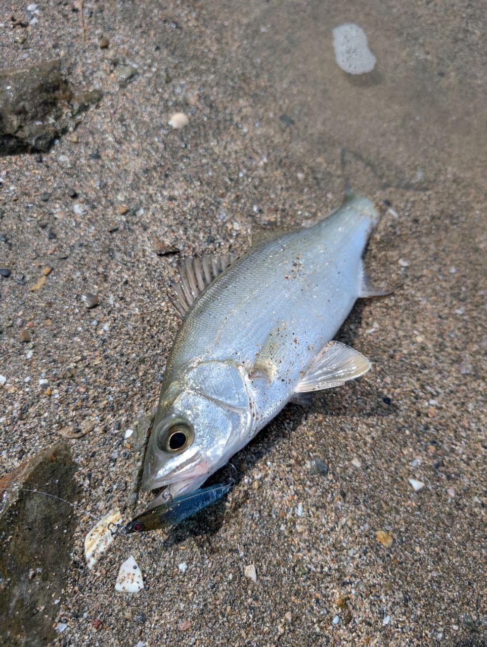 SHIMANO 22ソアレ SS S76UL-Sの最安値・インプレ・釣果 | 本音の口コミ