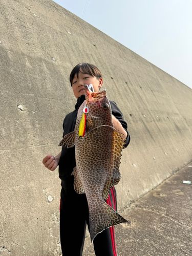 オオモンハタの釣果