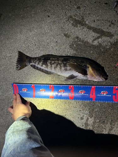 釣果