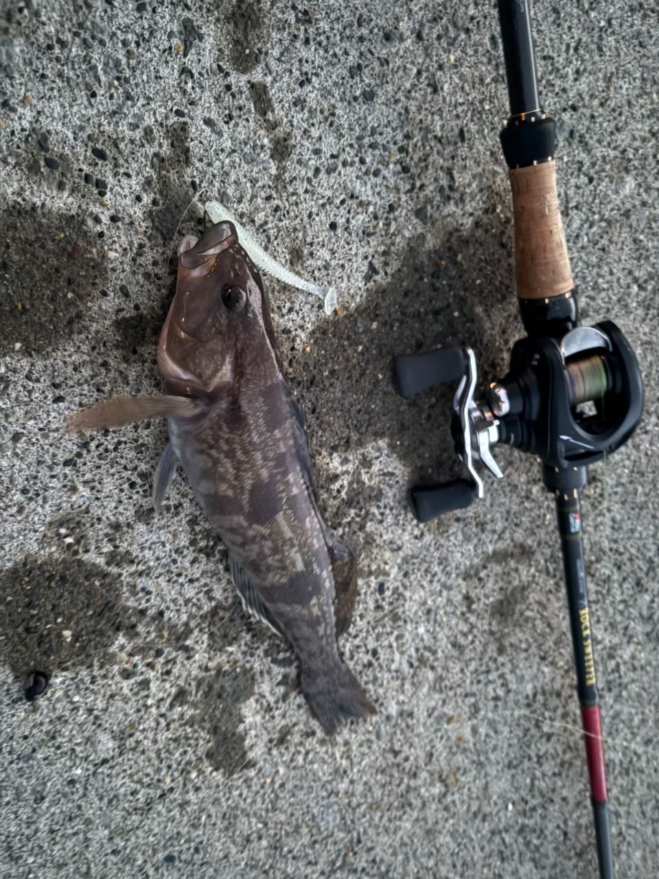 AbuGarcia エラディケーター ロックスイーパー ERSC-777H-MLの最安値