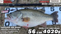 ブラックバスの釣果