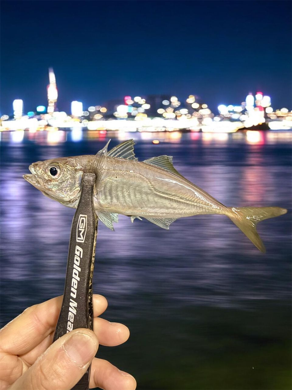AbuGarcia ソルティーステージ プロトタイプ アジング XAJS-5102LSSの