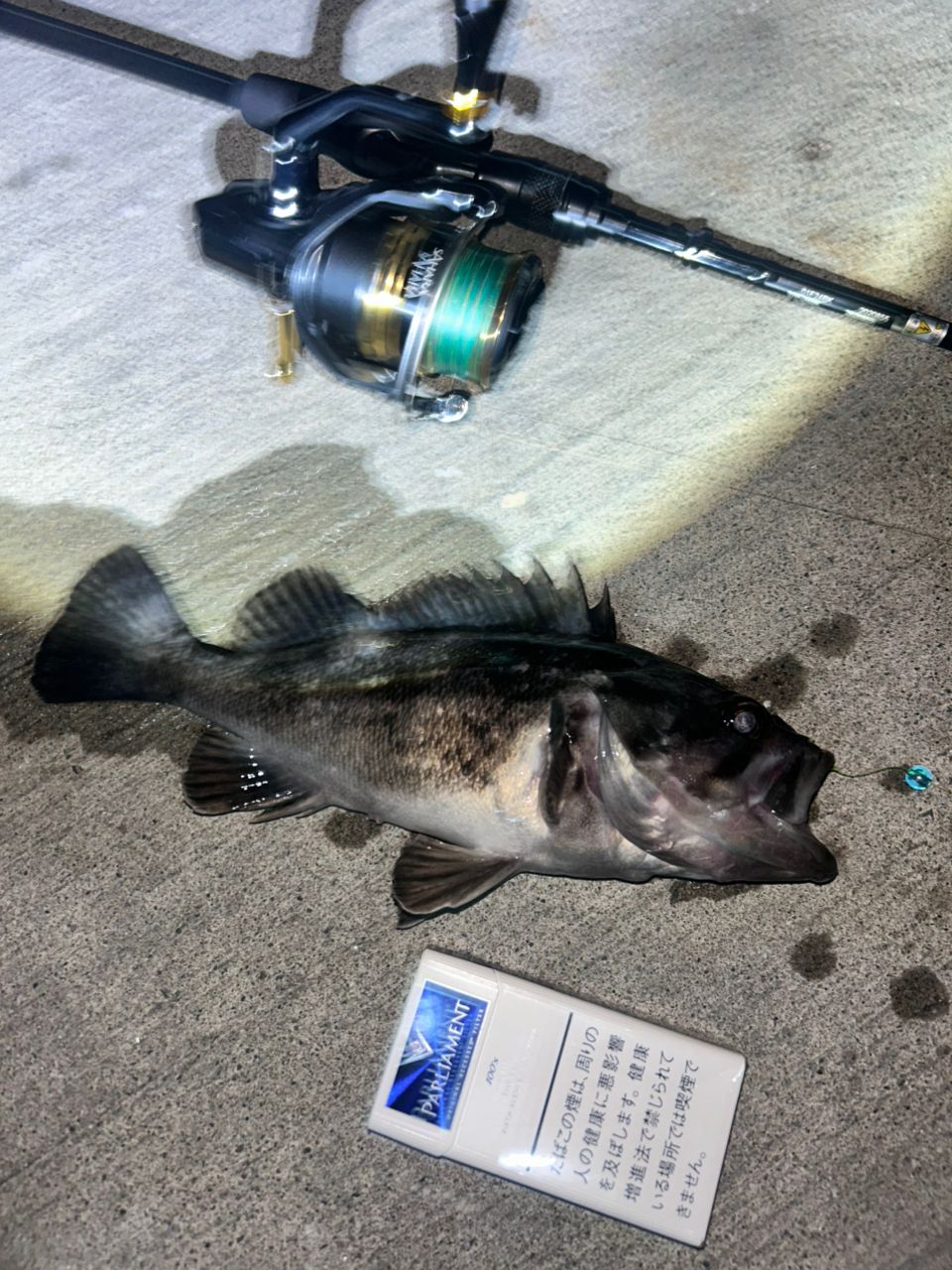 SHIMANO 22サハラ C3000の最安値・インプレ・釣果 | 本音の口コミが