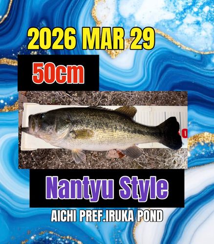 ラージマウスバスの釣果