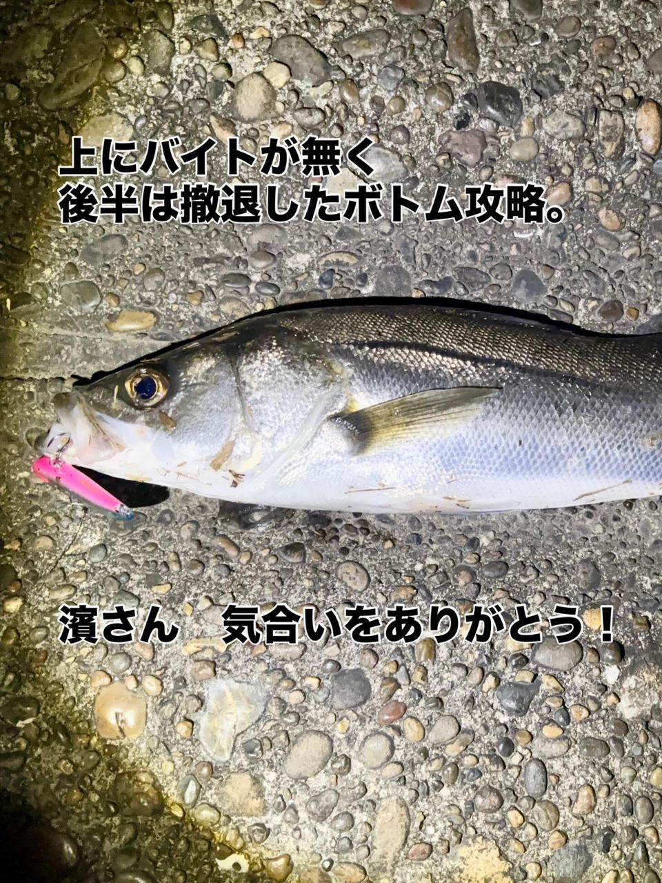 APIA グランデージ スタンダード 96MHの最安値・インプレ・釣果 | 本音