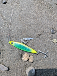 SHIMANO 22ネッサ BB S108M+の最安値・インプレ・釣果 | 本音の口コミ 