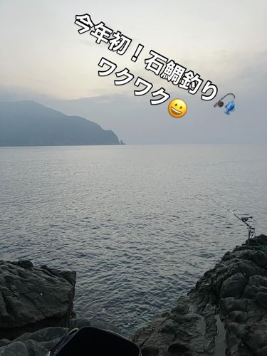 イシガキダイの釣果