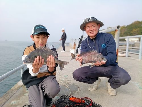チヌの釣果