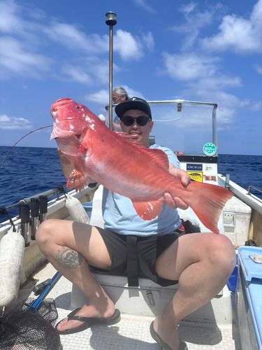 アカジンミーバイの釣果