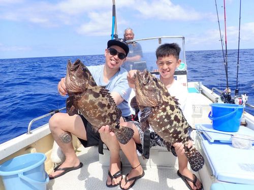 マダラハタの釣果