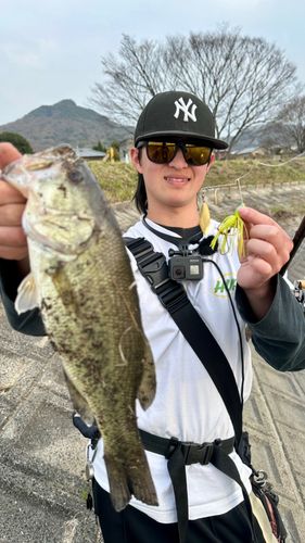 オニカマスの釣果