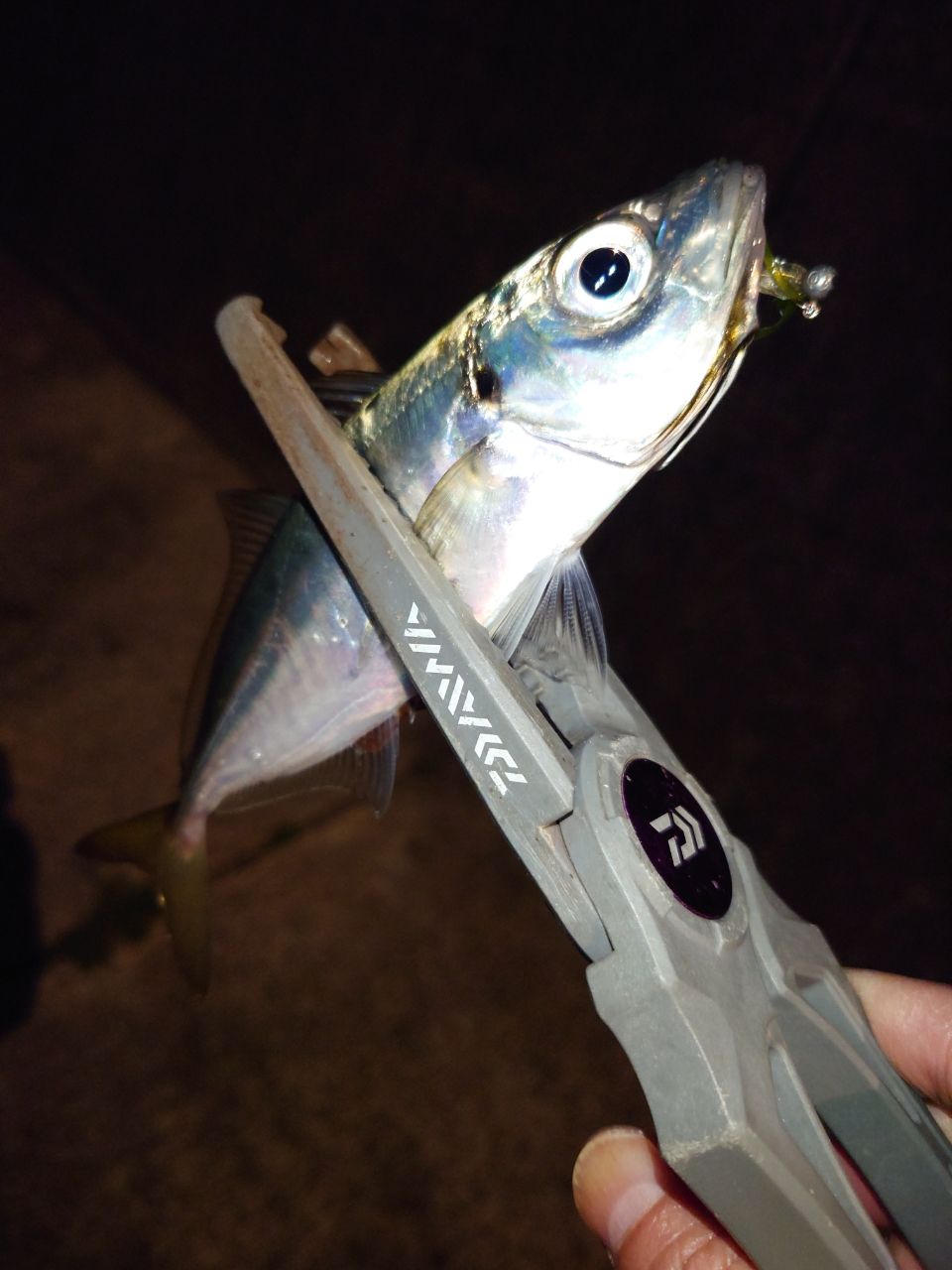 23月下美人 AIR AGS AJING510UL-S 月下美人 AIR(ロッド)｜DAIWA