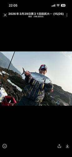 スマガツオの釣果