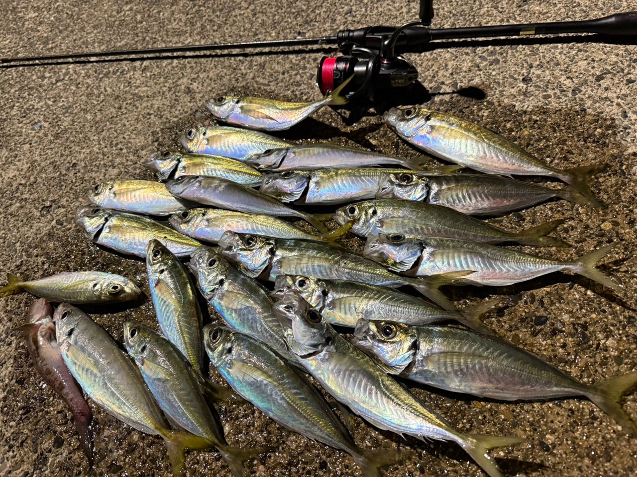 SHIMANO 21ソアレXR S610L-Sの最安値・インプレ・釣果 | 本音の口コミ