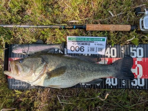 ラージマウスバスの釣果