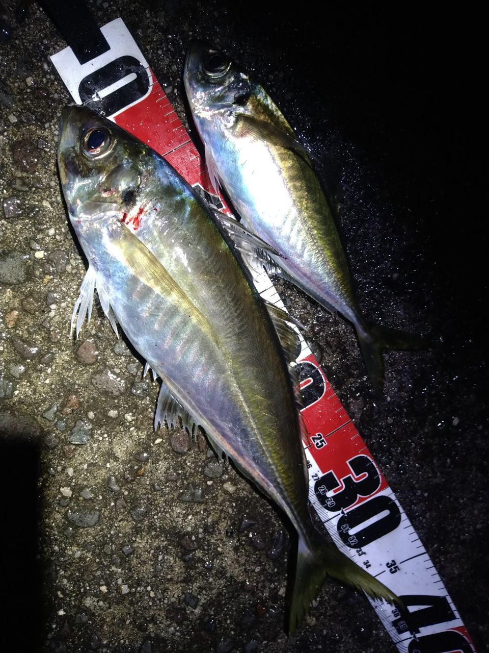 SHIMANO 22ソアレ SS S86ML-Tの最安値・インプレ・釣果 | 本音の口コミ