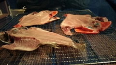 クロムツの釣果