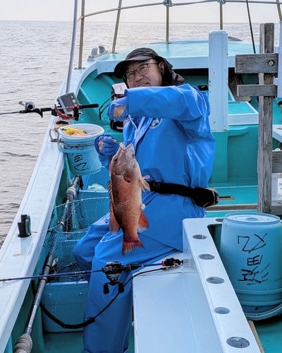 カンダイの釣果