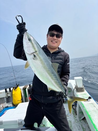 ブリの釣果