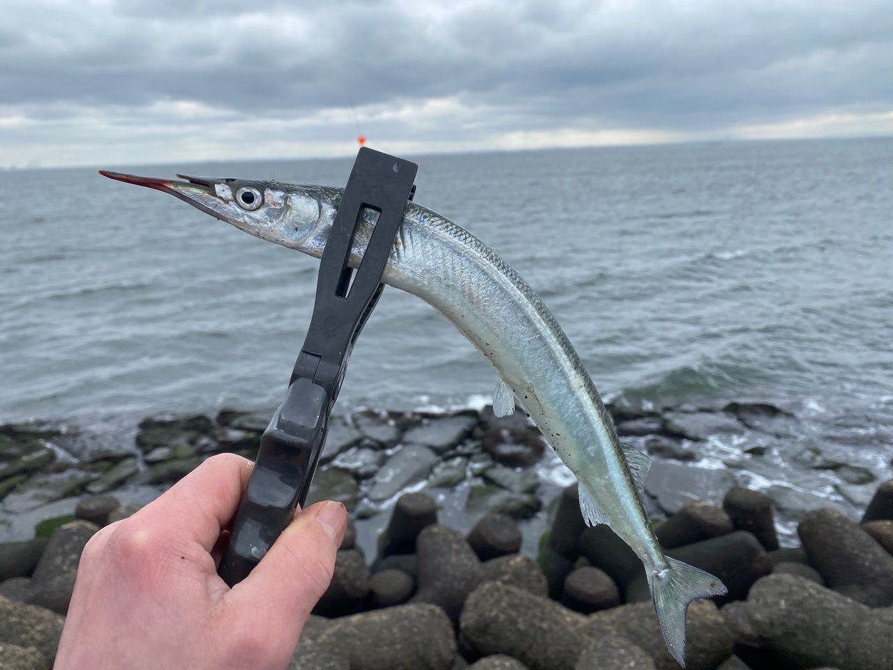 DAIWA 14リーガル 3号-53遠投の最安値・インプレ・釣果 | 本音の口コミ