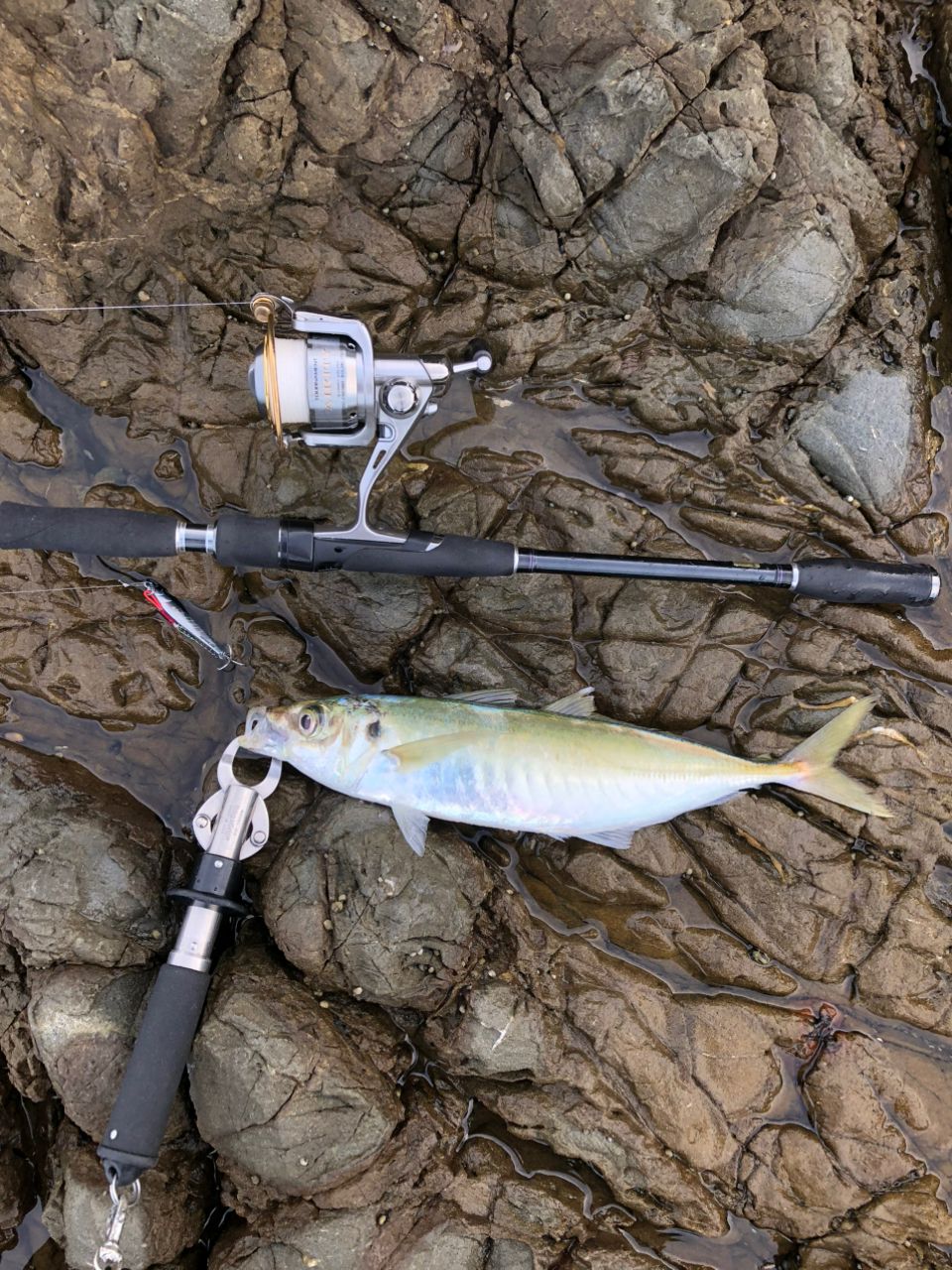 DAIWA 13ハートランド 802MHFS-SV13の最安値・インプレ・釣果 | 本音の