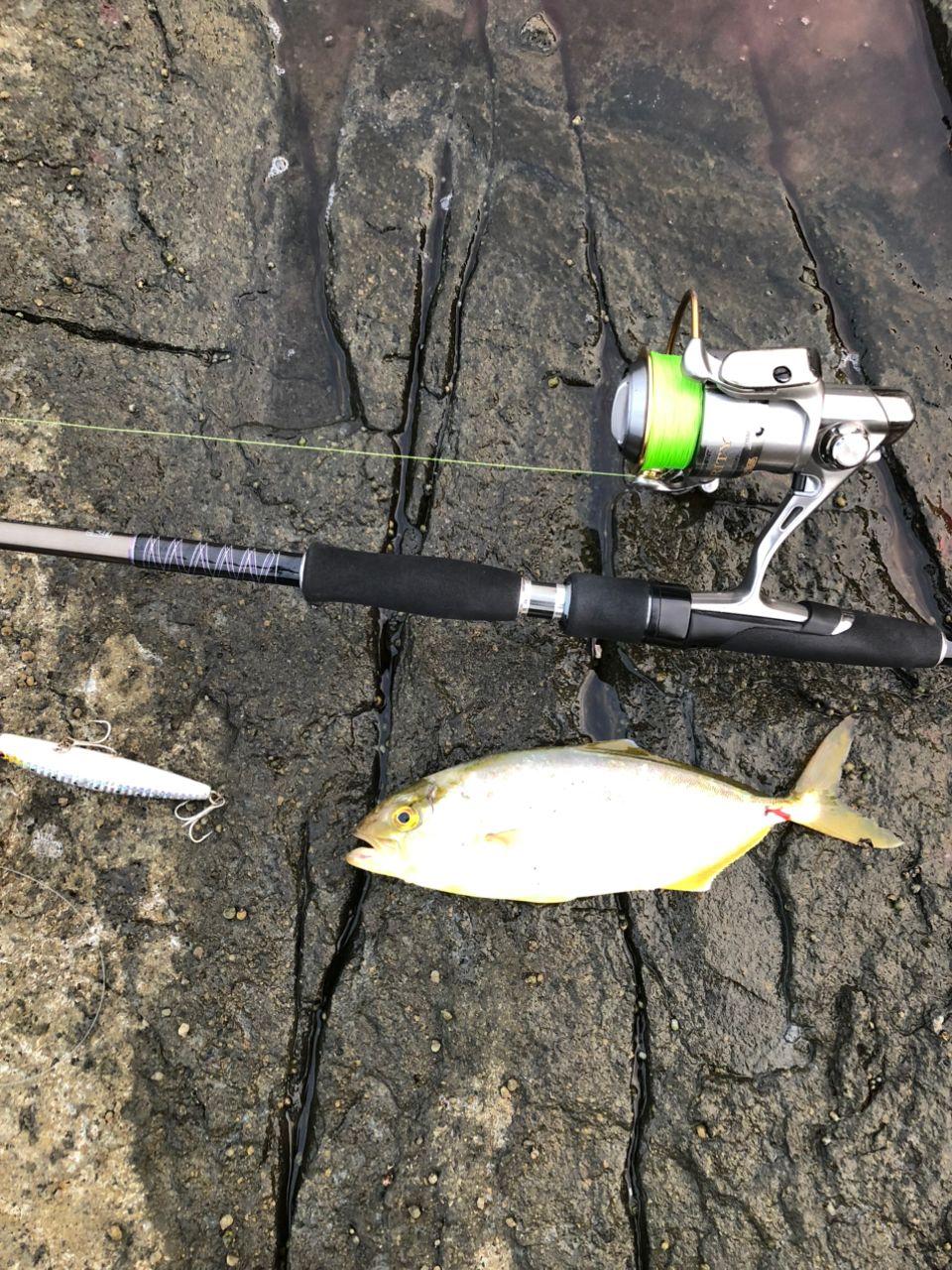 DAIWA 13ハートランド 802MHFS-SV13の最安値・インプレ・釣果 | 本音の