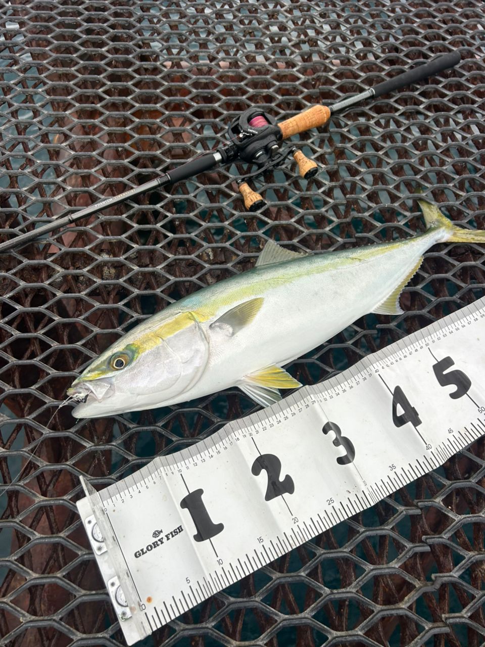 DAIWA 23ファントム リベラリスト 933MH+RSBの最安値・インプレ・釣果