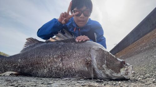 アカメの釣果