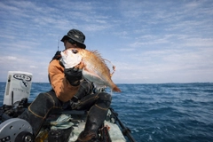 タイの釣果