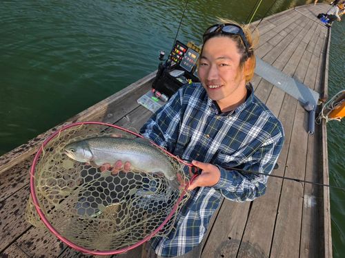 ロックトラウトの釣果