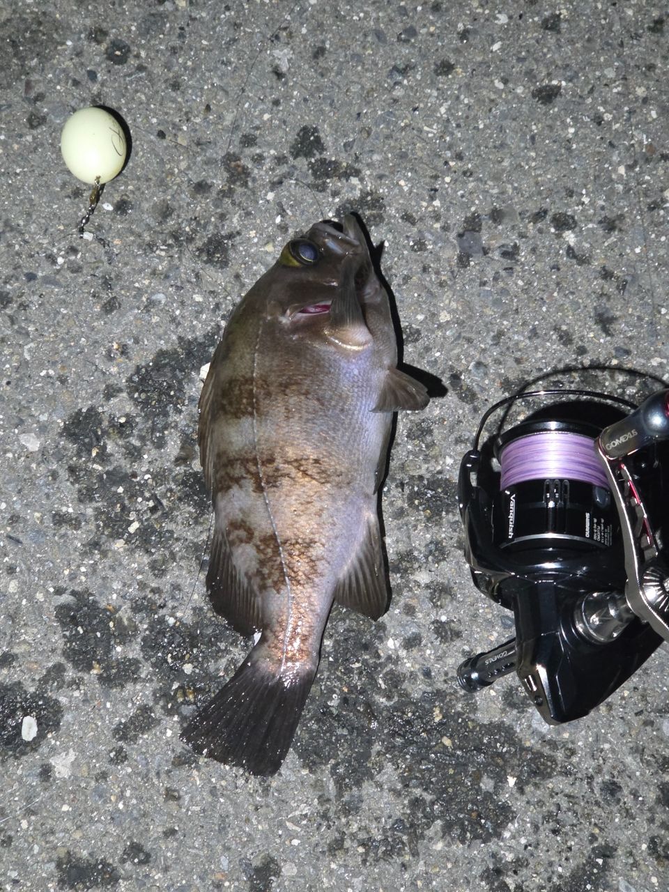 SHIMANO 17ソアレ CI4+ S900M-Sの最安値・インプレ・釣果 | 本音の