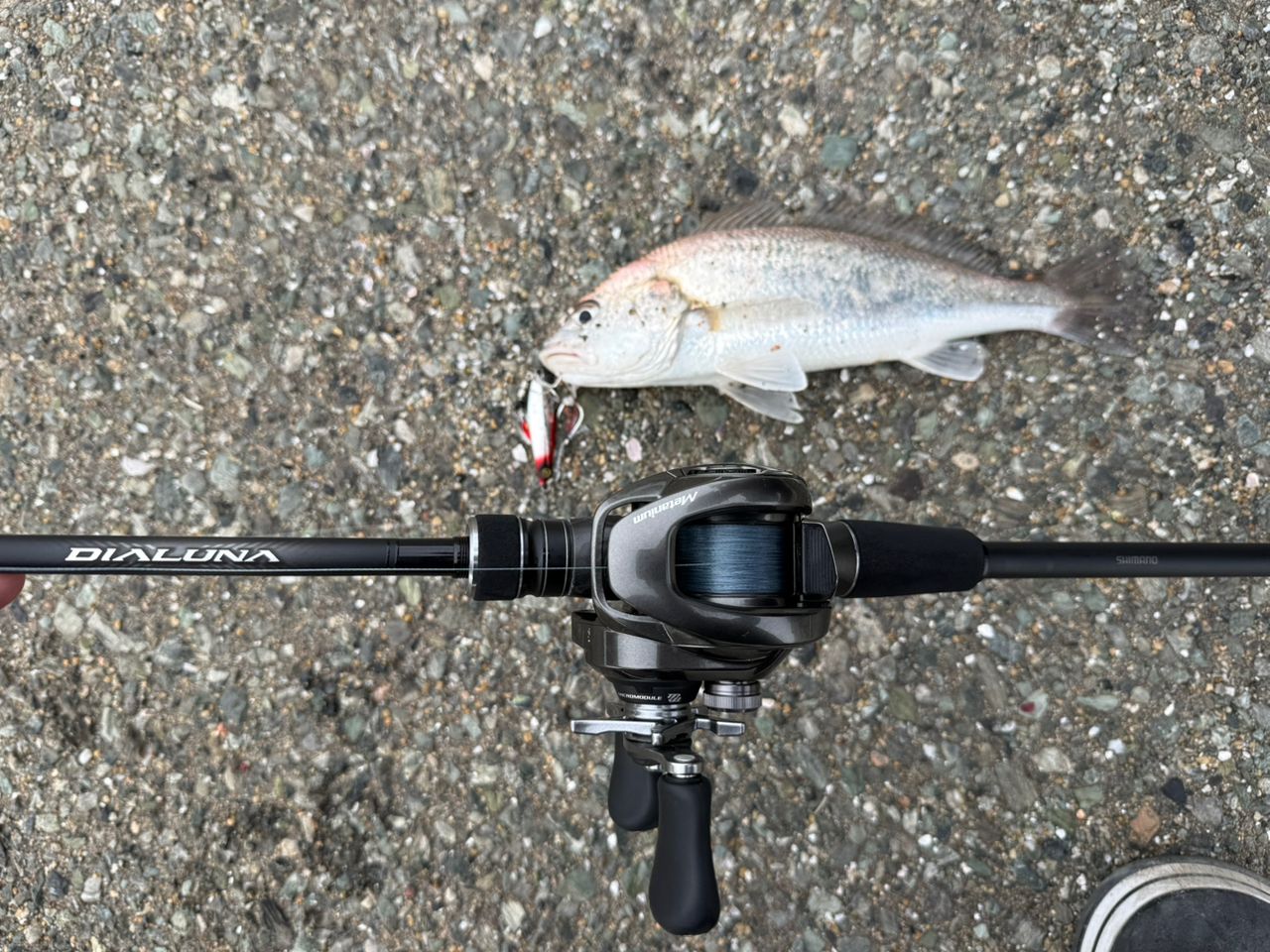 SHIMANO 23ディアルーナ B86Mの最安値・インプレ・釣果 | 本音の口コミ