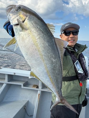 カンパチの釣果